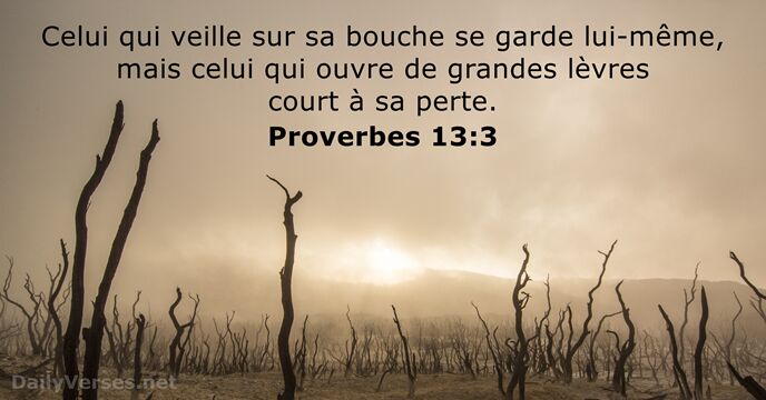 Proverbes 13:3