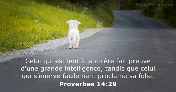 Celui qui est lent à la colère fait preuve d'une grande intelligence… Proverbes 14:29