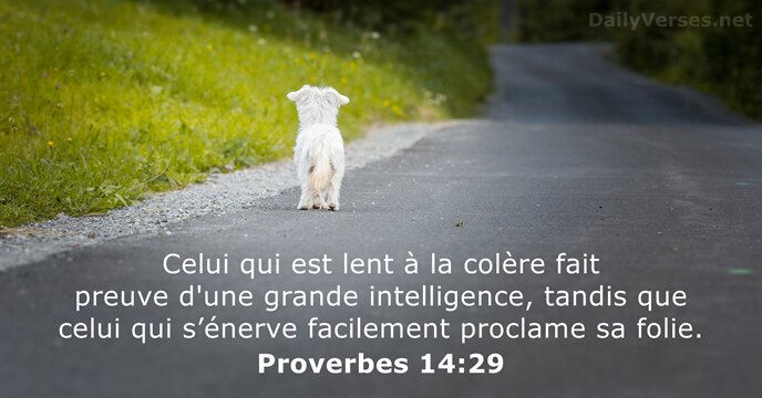 Celui qui est lent à la colère fait preuve d'une grande intelligence… Proverbes 14:29