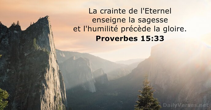 La crainte de l'Eternel enseigne la sagesse et l'humilité précède la gloire. Proverbes 15:33