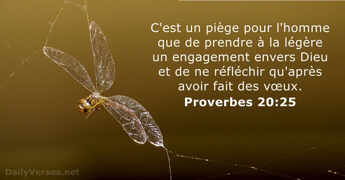 Proverbes 20:25