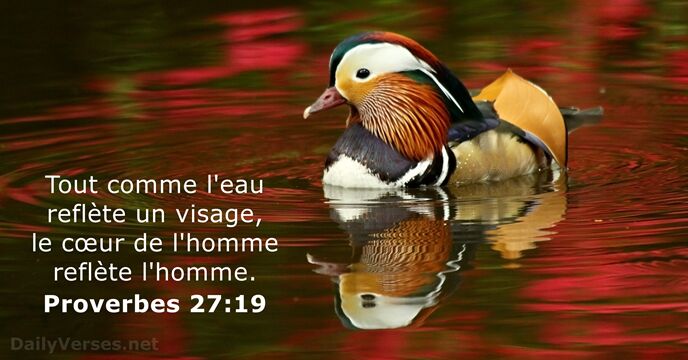 Proverbes 27:19