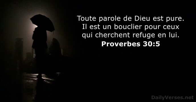 Proverbes 30:5