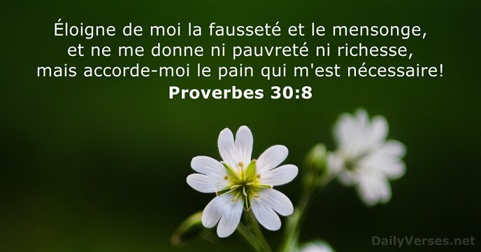 Proverbes 30:8