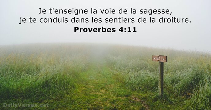 Je t'enseigne la voie de la sagesse, je te conduis dans les… Proverbes 4:11