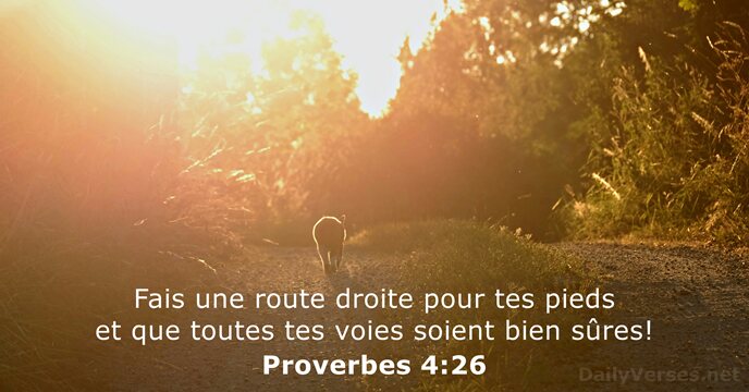 Proverbes 4:26