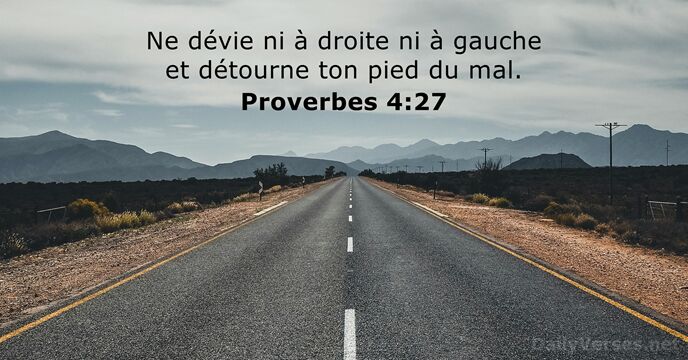 Ne dévie ni à droite ni à gauche et détourne ton pied du mal. Proverbes 4:27