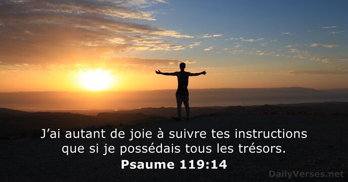 J’ai autant de joie à suivre tes instructions que si je possédais… Psaume 119:14