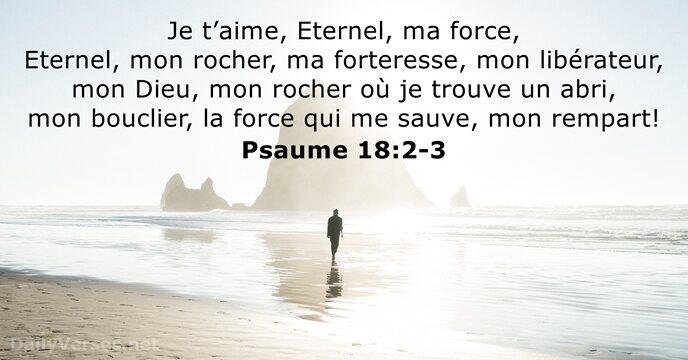 Je t’aime, Eternel, ma force, Eternel, mon rocher, ma forteresse, mon libérateur… Psaume 18:2-3