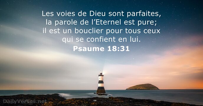 Les voies de Dieu sont parfaites, la parole de l’Eternel est pure… Psaume 18:31
