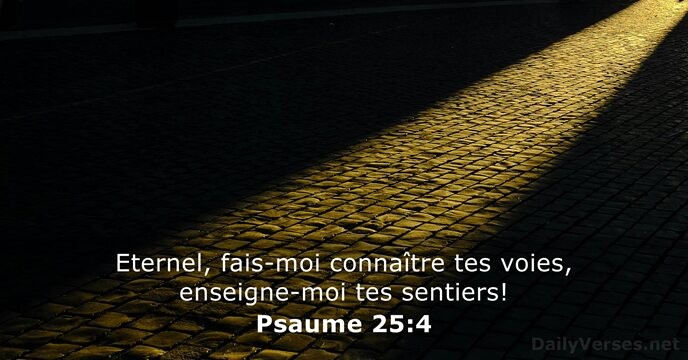 Eternel, fais-moi connaître tes voies, enseigne-moi tes sentiers! Psaume 25:4