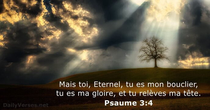 Mais toi, Eternel, tu es mon bouclier, tu es ma gloire, et… Psaume 3:4