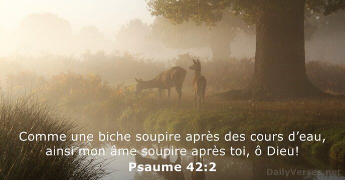 Psaume 42:2