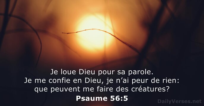 Psaume 56:5
