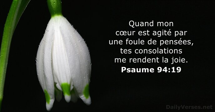 Quand mon cœur est agité par une foule de pensées, tes consolations… Psaume 94:19