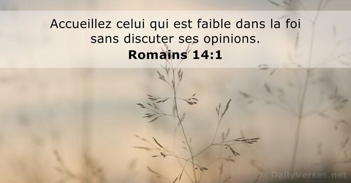 Accueillez celui qui est faible dans la foi sans discuter ses opinions. Romains 14:1