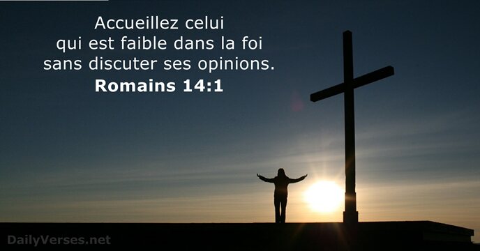 Romains 14:1