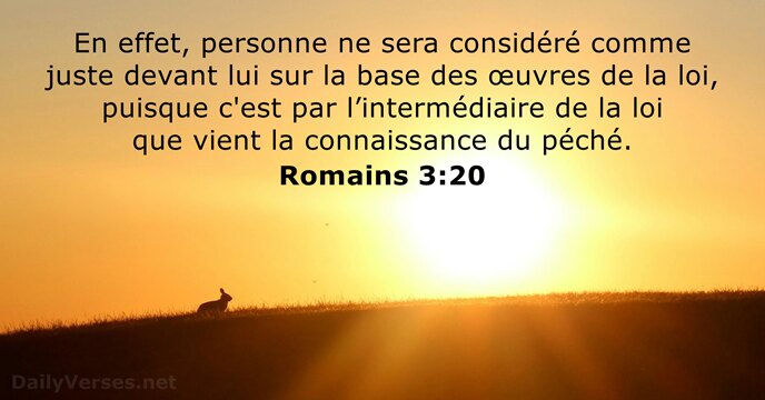 Romains 3:20