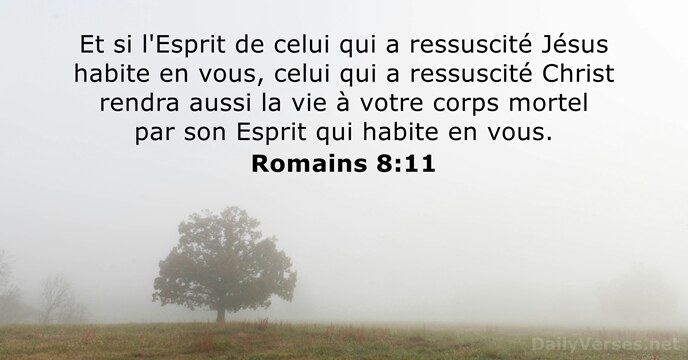 Romains 8:11