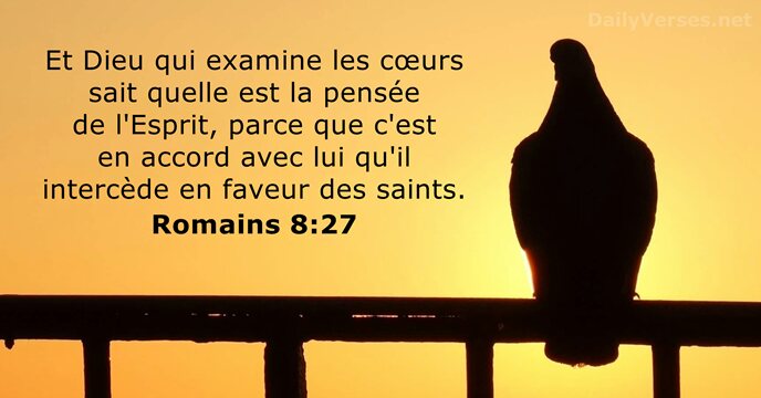 Romains 8:27