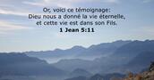 1 Jean 5:11