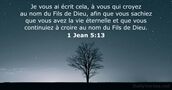 1 Jean 5:13