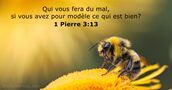 1 Pierre 3:13