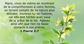1 Pierre 3:7