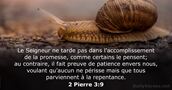 2 Pierre 3:9
