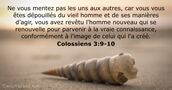 Colossiens 3:9-10