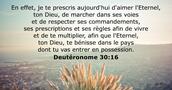 Deutéronome 30:16