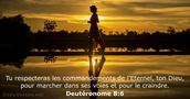 Deutéronome 8:6
