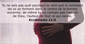 Ecclésiaste 11:5