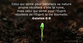 Galates 6:8