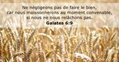 Galates 6:9