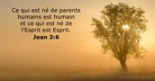 Jean 3:6