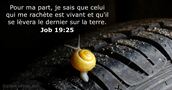 Job 19:25