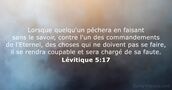 Lévitique 5:17