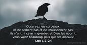 Luc 12:24