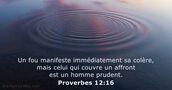 Proverbes 12:16