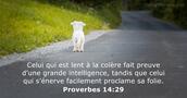 Proverbes 14:29