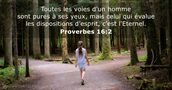 Proverbes 16:2