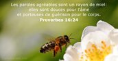 Proverbes 16:24