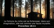 Proverbes 18:11
