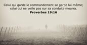 Proverbes 19:16