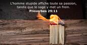 Proverbes 29:11