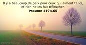 Psaume 119:165