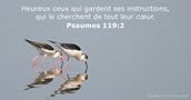 Psaume 119:2