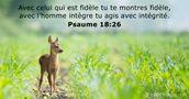 Psaume 18:26