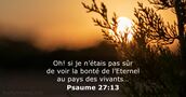 Psaume 27:13